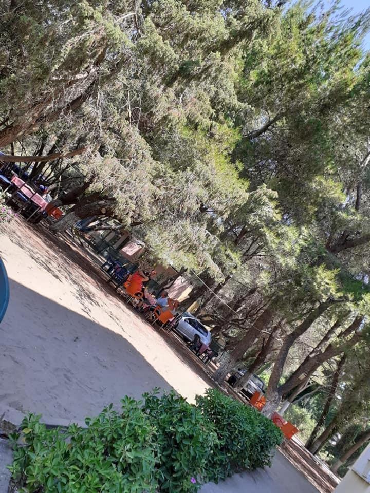 Divjaka Park Esterno foto